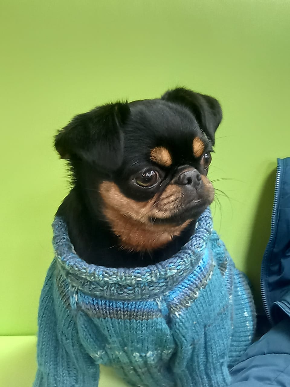 Лизунков Александр Викторович