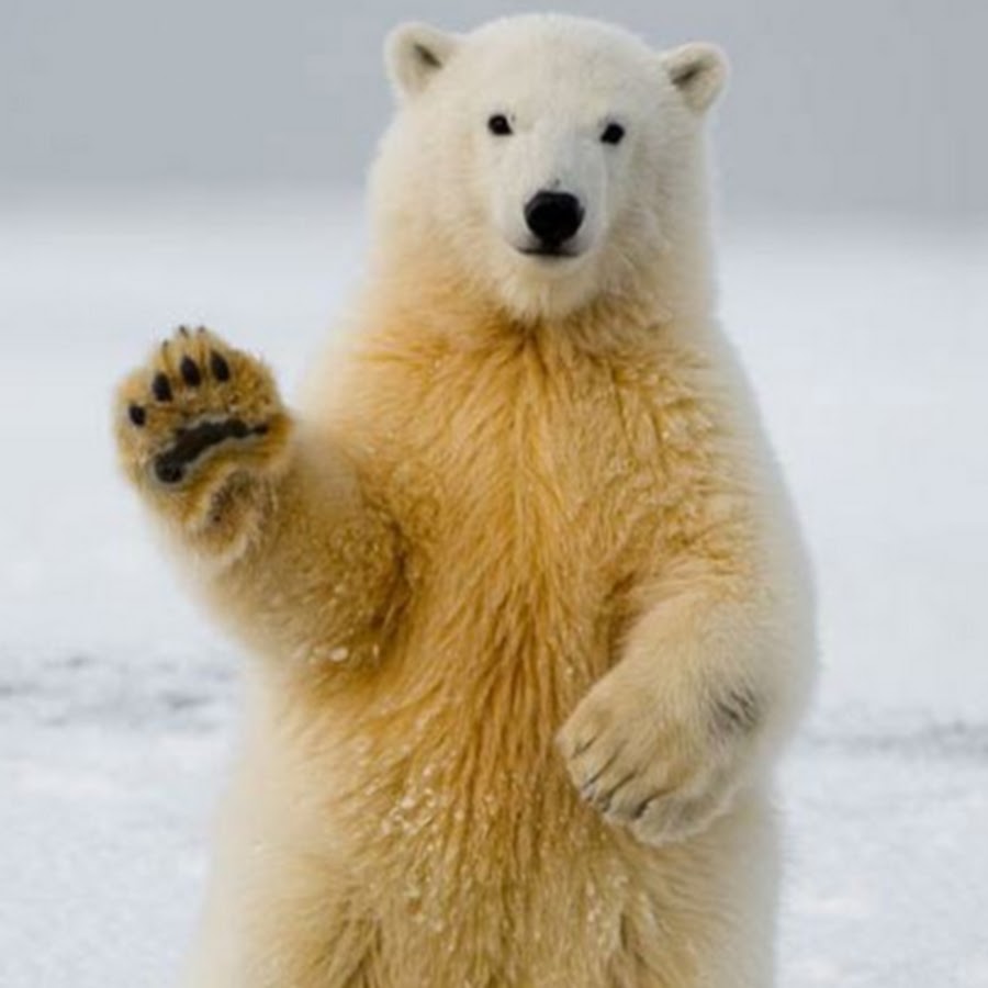 Патынок Олег Борисович