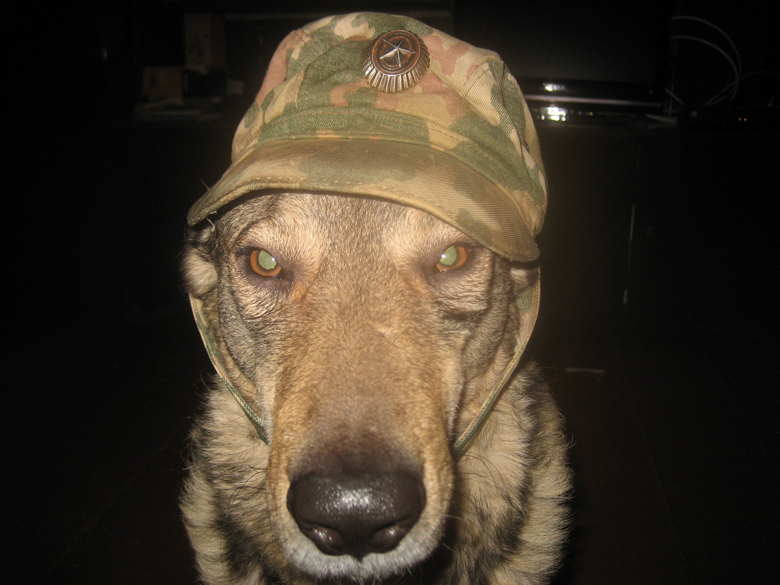 Понкратов Сергей Викторович