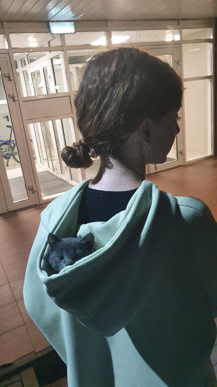 Долгих Полина Константиновна