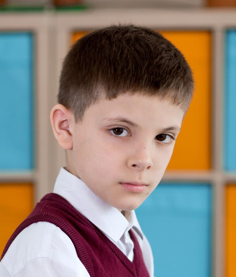 Шапиро-Лубянский Дементий Сергеевич