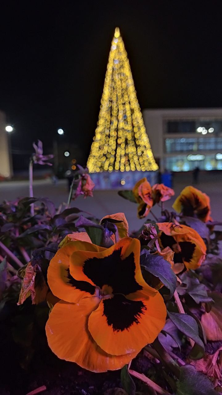 Петелина Татьяна Сергеевна