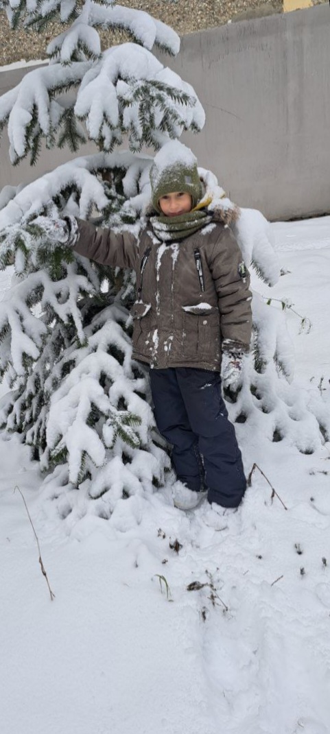 Герасимов Егор Витальевич