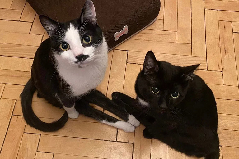 Одиноченко Анастасия Олеговна