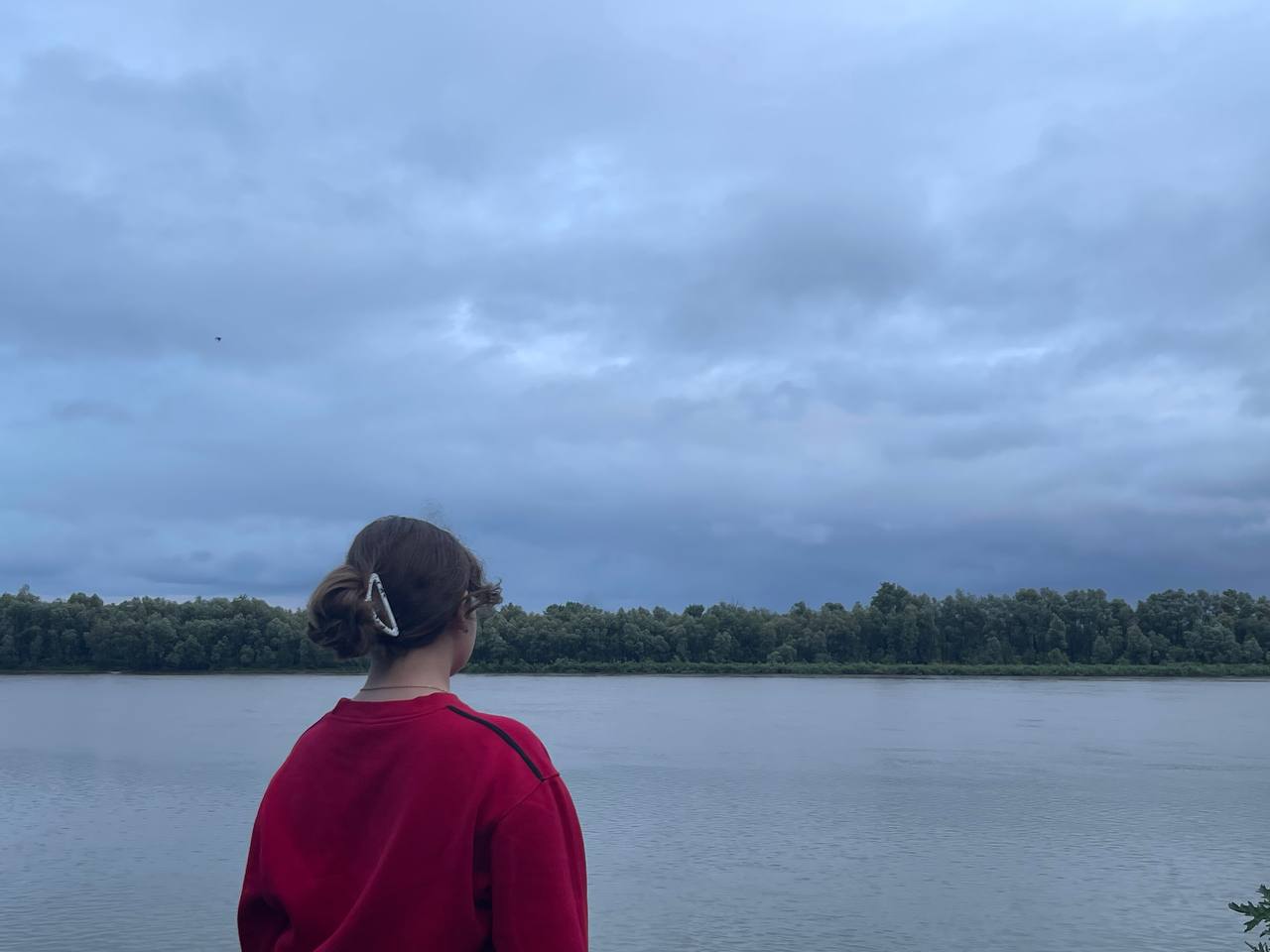 Швец Арина Николаевна