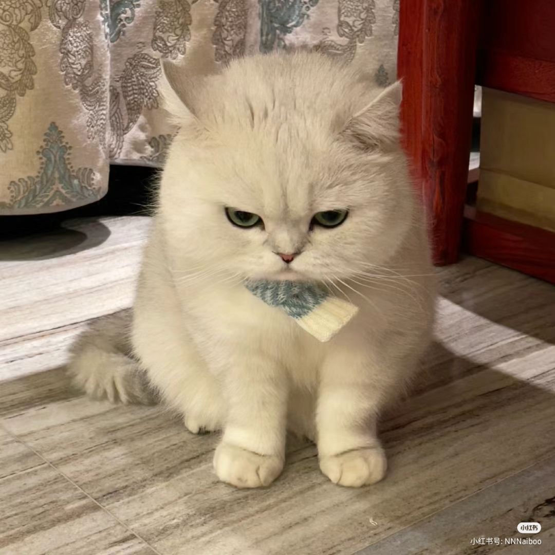 Новоселов Даниил Дмитриевич