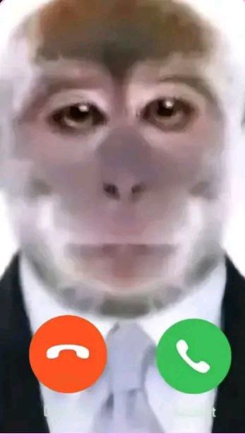 Балсахаев Денис Максимович