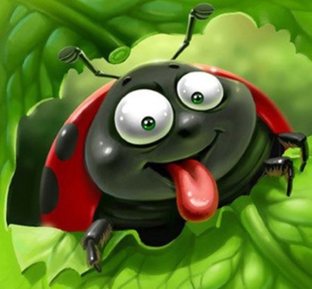 Кожарский Никита Вячеславович